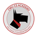 CMU Certified Educator Badge 