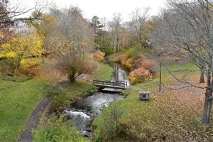 "Sweet Water" of Town Brook that induced the Pilgrims to settle. 